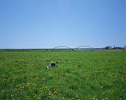 cau bach thu la