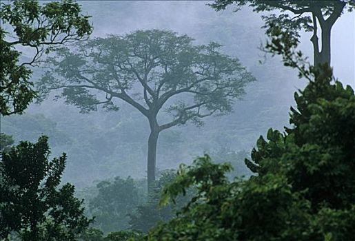 xổ số miền bắc ngày thứ tư