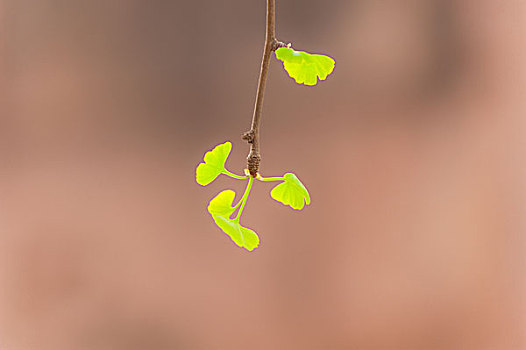 soi cầu xsmb hom nay