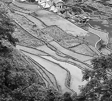 kq keo nha cai
