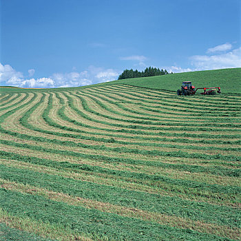 ag sv388