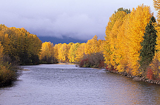 stasi germany