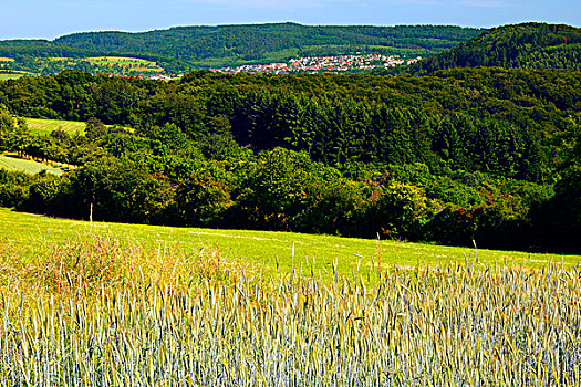 titania germany
