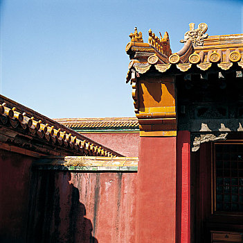 thuan vu 286