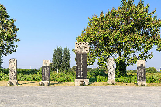 xs q binh