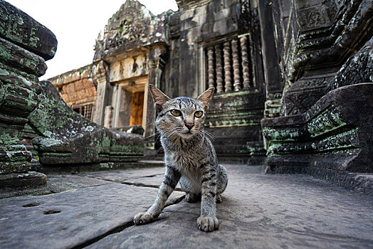 sbobet moi nhat