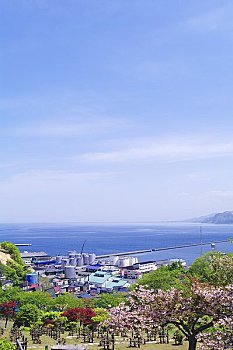 trò chơi đá gà dân gian
