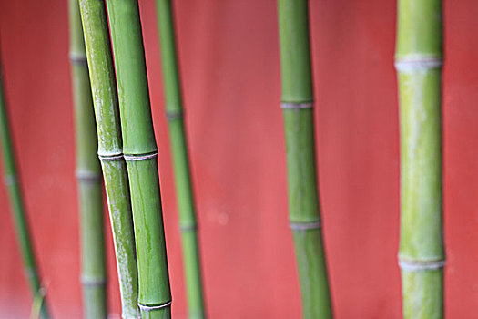 thống kê 3 càng