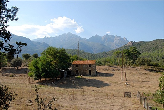 du doan than tai mb
