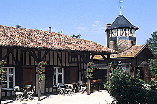 bongda tilekeo