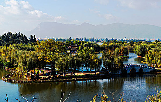 bán cựa gà đá